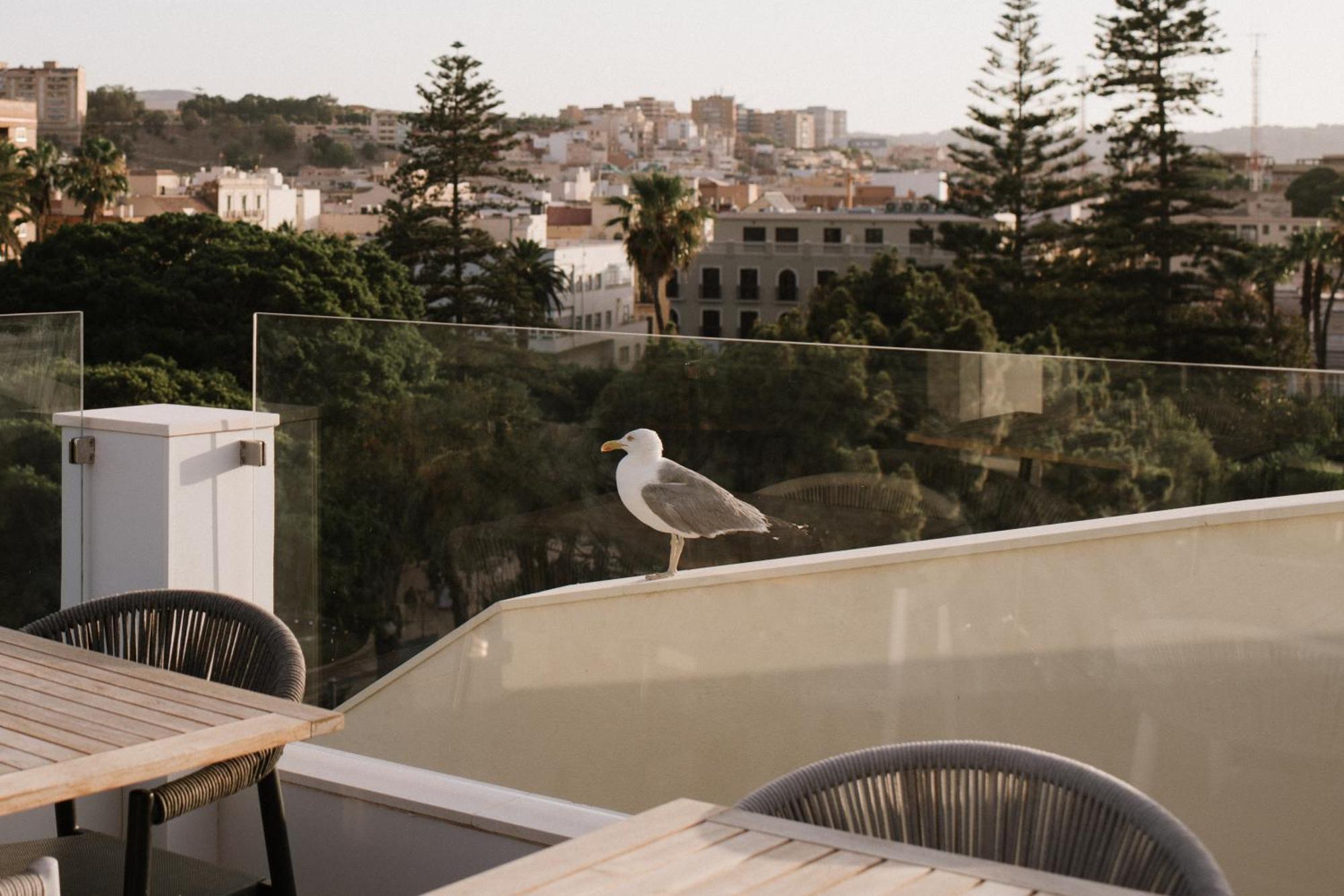 Hotel Melilla Centro Eksteriør billede